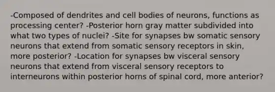 -Composed of dendrites and cell bodies of neurons, functions as processing center? -Posterior horn gray matter subdivided into what two types of nuclei? -Site for synapses bw somatic sensory neurons that extend from somatic sensory receptors in skin, more posterior? -Location for synapses bw visceral sensory neurons that extend from visceral sensory receptors to interneurons within posterior horns of spinal cord, more anterior?