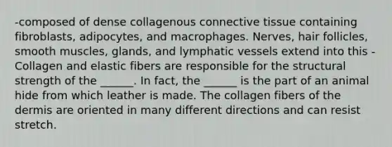 -composed of dense collagenous connective tissue containing fibroblasts, adipocytes, and macrophages. Nerves, hair follicles, smooth muscles, glands, and lymphatic vessels extend into this -Collagen and elastic fibers are responsible for the structural strength of the ______. In fact, the ______ is the part of an animal hide from which leather is made. The collagen fibers of the dermis are oriented in many different directions and can resist stretch.