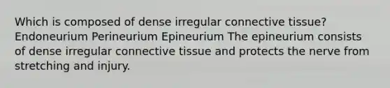 Which is composed of dense irregular connective tissue? Endoneurium Perineurium Epineurium The epineurium consists of dense irregular connective tissue and protects the nerve from stretching and injury.