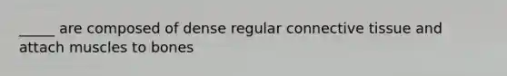 _____ are composed of dense regular connective tissue and attach muscles to bones