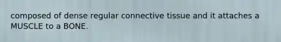 composed of dense regular <a href='https://www.questionai.com/knowledge/kYDr0DHyc8-connective-tissue' class='anchor-knowledge'>connective tissue</a> and it attaches a MUSCLE to a BONE.