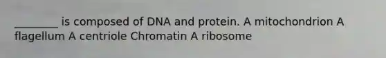 ________ is composed of DNA and protein. A mitochondrion A flagellum A centriole Chromatin A ribosome