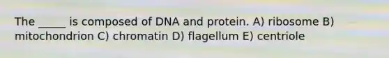 The _____ is composed of DNA and protein. A) ribosome B) mitochondrion C) chromatin D) flagellum E) centriole