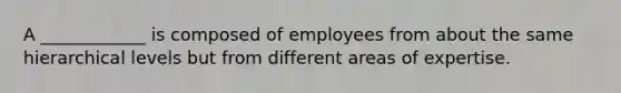 A ____________ is composed of employees from about the same hierarchical levels but from different areas of expertise.