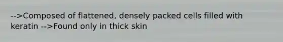 -->Composed of flattened, densely packed cells filled with keratin -->Found only in thick skin