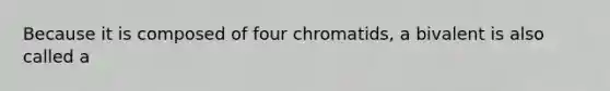 Because it is composed of four chromatids, a bivalent is also called a