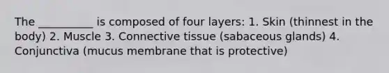 The __________ is composed of four layers: 1. Skin (thinnest in the body) 2. Muscle 3. Connective tissue (sabaceous glands) 4. Conjunctiva (mucus membrane that is protective)