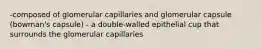 -composed of glomerular capillaries and glomerular capsule (bowman's capsule) - a double-walled epithelial cup that surrounds the glomerular capillaries