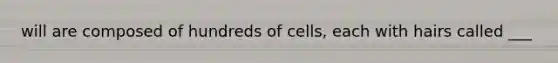 will are composed of hundreds of cells, each with hairs called ___