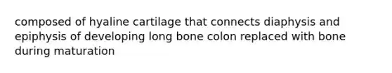 composed of hyaline cartilage that connects diaphysis and epiphysis of developing long bone colon replaced with bone during maturation