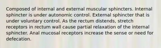 Composed of internal and external muscular sphincters. Internal sphincter is under autonomic control. External sphincter that is under voluntary control. As the rectum distends, stretch receptors in rectum wall cause partial relaxation of the internal sphincter. Anal mucosal receptors increase the sense or need for defecation.