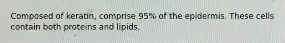 Composed of keratin, comprise 95% of the epidermis. These cells contain both proteins and lipids.