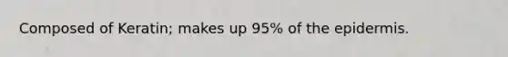 Composed of Keratin; makes up 95% of the epidermis.