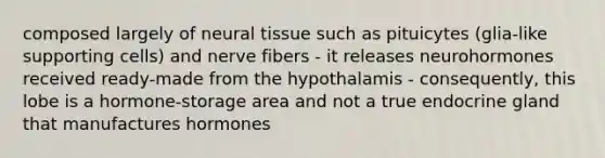 composed largely of neural tissue such as pituicytes (glia-like supporting cells) and nerve fibers - it releases neurohormones received ready-made from the hypothalamis - consequently, this lobe is a hormone-storage area and not a true endocrine gland that manufactures hormones