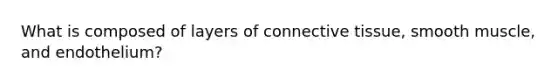 What is composed of layers of <a href='https://www.questionai.com/knowledge/kYDr0DHyc8-connective-tissue' class='anchor-knowledge'>connective tissue</a>, smooth muscle, and endothelium?