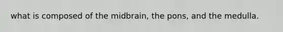 what is composed of the midbrain, the pons, and the medulla.