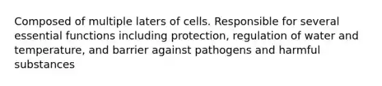 Composed of multiple laters of cells. Responsible for several essential functions including protection, regulation of water and temperature, and barrier against pathogens and harmful substances