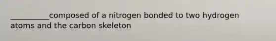 __________composed of a nitrogen bonded to two hydrogen atoms and the carbon skeleton