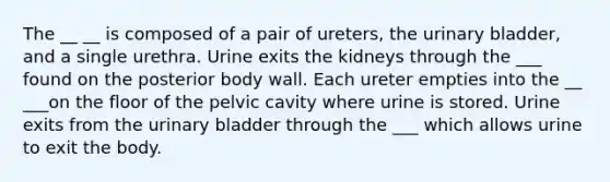 The __ __ is composed of a pair of ureters, the urinary bladder, and a single urethra. Urine exits the kidneys through the ___ found on the posterior body wall. Each ureter empties into the __ ___on the floor of the pelvic cavity where urine is stored. Urine exits from the urinary bladder through the ___ which allows urine to exit the body.