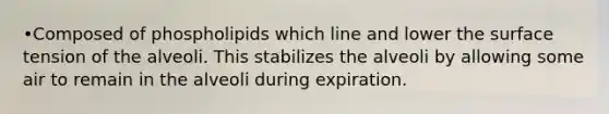 •Composed of phospholipids which line and lower the surface tension of the alveoli. This stabilizes the alveoli by allowing some air to remain in the alveoli during expiration.