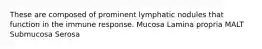 These are composed of prominent lymphatic nodules that function in the immune response. Mucosa Lamina propria MALT Submucosa Serosa