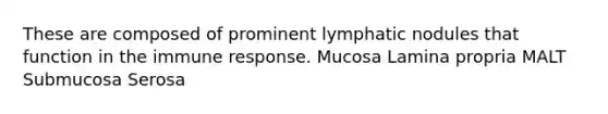 These are composed of prominent lymphatic nodules that function in the immune response. Mucosa Lamina propria MALT Submucosa Serosa