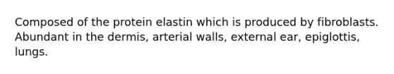 Composed of the protein elastin which is produced by fibroblasts. Abundant in <a href='https://www.questionai.com/knowledge/kEsXbG6AwS-the-dermis' class='anchor-knowledge'>the dermis</a>, arterial walls, external ear, epiglottis, lungs.