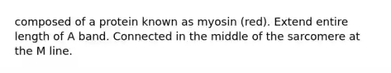 composed of a protein known as myosin (red). Extend entire length of A band. Connected in the middle of the sarcomere at the M line.