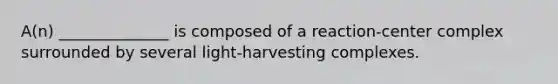 A(n) ______________ is composed of a reaction-center complex surrounded by several light-harvesting complexes.