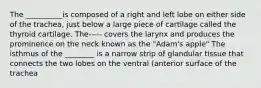 The __________is composed of a right and left lobe on either side of the trachea, just below a large piece of cartilage called the thyroid cartilage. The----- covers the larynx and produces the prominence on the neck known as the "Adam's apple" The isthmus of the ________ is a narrow strip of glandular tissue that connects the two lobes on the ventral (anterior surface of the trachea