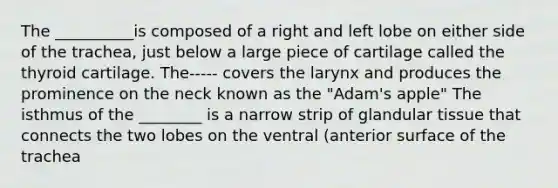 The __________is composed of a right and left lobe on either side of the trachea, just below a large piece of cartilage called the thyroid cartilage. The----- covers the larynx and produces the prominence on the neck known as the "Adam's apple" The isthmus of the ________ is a narrow strip of glandular tissue that connects the two lobes on the ventral (anterior surface of the trachea