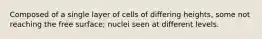 Composed of a single layer of cells of differing heights, some not reaching the free surface; nuclei seen at different levels.