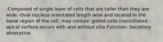 -Composed of single layer of cells that are taller than they are wide -Oval nucleus orientated length wise and located in the basal region of the cell, may contain goblet cells.(noncilliated -apical surface occurs with and without cilia Function: Secretory absorptive