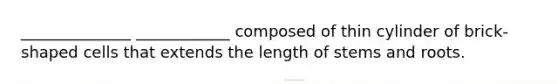 ______________ ____________ composed of thin cylinder of brick-shaped cells that extends the length of stems and roots.