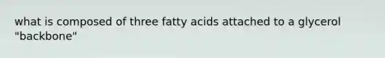 what is composed of three fatty acids attached to a glycerol "backbone"