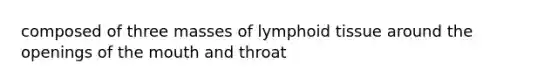 composed of three masses of lymphoid tissue around the openings of the mouth and throat