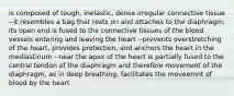 is composed of tough, inelastic, dense irregular connective tissue --it resembles a bag that rests on and attaches to the diaphragm; its open end is fused to the connective tissues of the blood vessels entering and leaving the heart --prevents overstretching of the heart, provides protection, and anchors the heart in the mediastinum --near the apex of the heart is partially fused to the central tendon of the diaphragm and therefore movement of the diaphragm, as in deep breathing, facilitates the moveemnt of blood by the heart