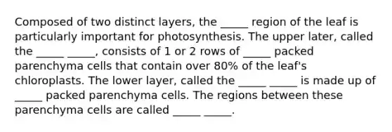 Composed of two distinct layers, the _____ region of the leaf is particularly important for photosynthesis. The upper later, called the _____ _____, consists of 1 or 2 rows of _____ packed parenchyma cells that contain over 80% of the leaf's chloroplasts. The lower layer, called the _____ _____ is made up of _____ packed parenchyma cells. The regions between these parenchyma cells are called _____ _____.