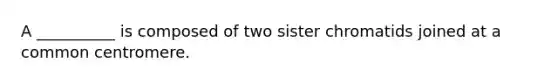 A __________ is composed of two sister chromatids joined at a common centromere.