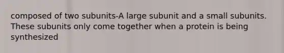 composed of two subunits-A large subunit and a small subunits. These subunits only come together when a protein is being synthesized