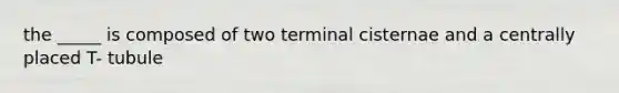 the _____ is composed of two terminal cisternae and a centrally placed T- tubule