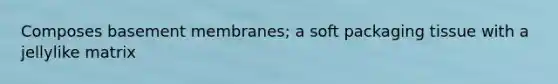 Composes basement membranes; a soft packaging tissue with a jellylike matrix