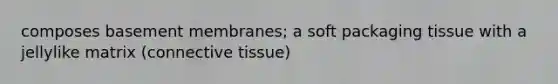 composes basement membranes; a soft packaging tissue with a jellylike matrix (connective tissue)