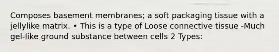 Composes basement membranes; a soft packaging tissue with a jellylike matrix. • This is a type of Loose <a href='https://www.questionai.com/knowledge/kYDr0DHyc8-connective-tissue' class='anchor-knowledge'>connective tissue</a> -Much gel-like ground substance between cells 2 Types: