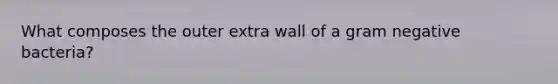 What composes the outer extra wall of a gram negative bacteria?