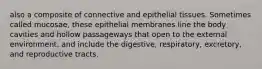 also a composite of connective and epithelial tissues. Sometimes called mucosae, these epithelial membranes line the body cavities and hollow passageways that open to the external environment, and include the digestive, respiratory, excretory, and reproductive tracts.