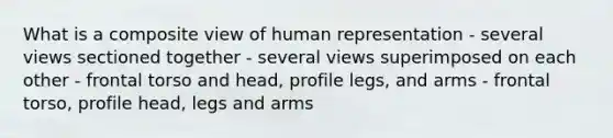 What is a composite view of human representation - several views sectioned together - several views superimposed on each other - frontal torso and head, profile legs, and arms - frontal torso, profile head, legs and arms