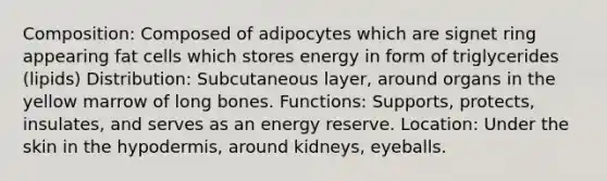 Composition: Composed of adipocytes which are signet ring appearing fat cells which stores energy in form of triglycerides (lipids) Distribution: Subcutaneous layer, around organs in the yellow marrow of long bones. Functions: Supports, protects, insulates, and serves as an energy reserve. Location: Under the skin in the hypodermis, around kidneys, eyeballs.