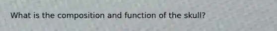 What is the composition and function of the skull?
