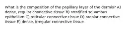 What is the composition of the papillary layer of the dermis? A) dense, regular connective tissue B) stratified squamous epithelium C) reticular connective tissue D) areolar connective tissue E) dense, irregular connective tissue